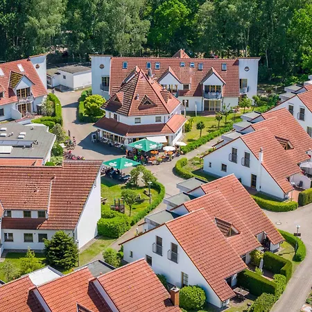 Holiday home Freesenbruch Doppelhaushaelfte 11 - Windfluechter *